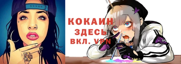 соль ск Алзамай