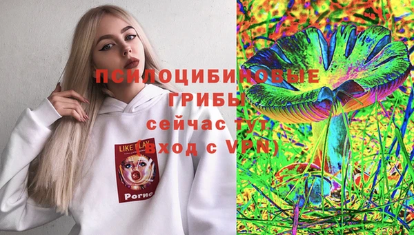 дурь Россошь