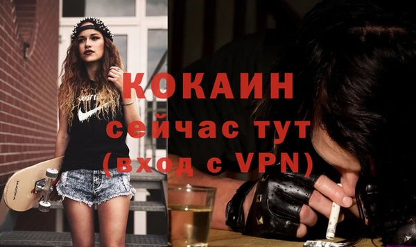 хмурый Алексин