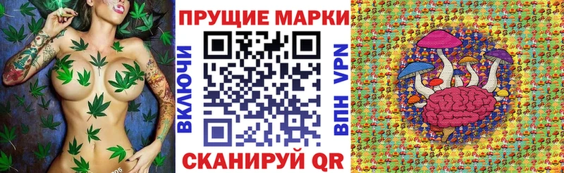 купить наркотики цена  MEGA как зайти  Марки NBOMe 1,5мг  Каргат 